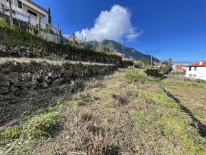 Construir um pomar e uma horta