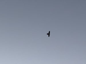 Tempo e liberdade