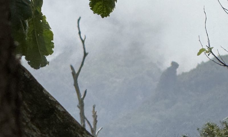 O fantasma do Paul