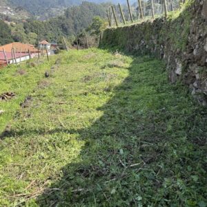 Limpeza a todo o vapor