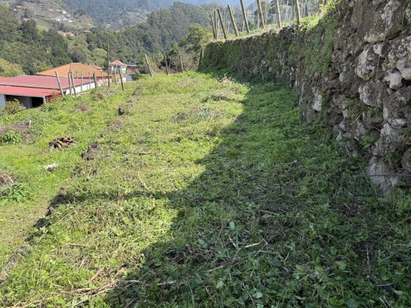 Limpeza a todo o vapor