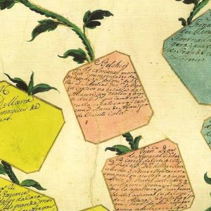 Como pesquisar genealogia madeirense: guia completo para principiantes