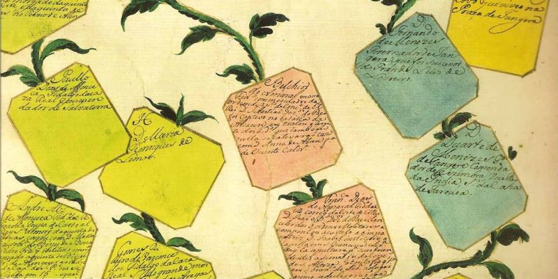 Como pesquisar genealogia madeirense: guia completo para principiantes